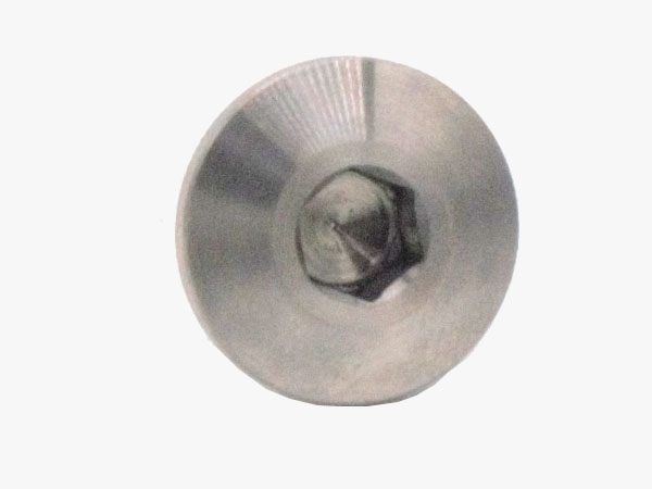 鈦非標(biāo)件平頭螺釘